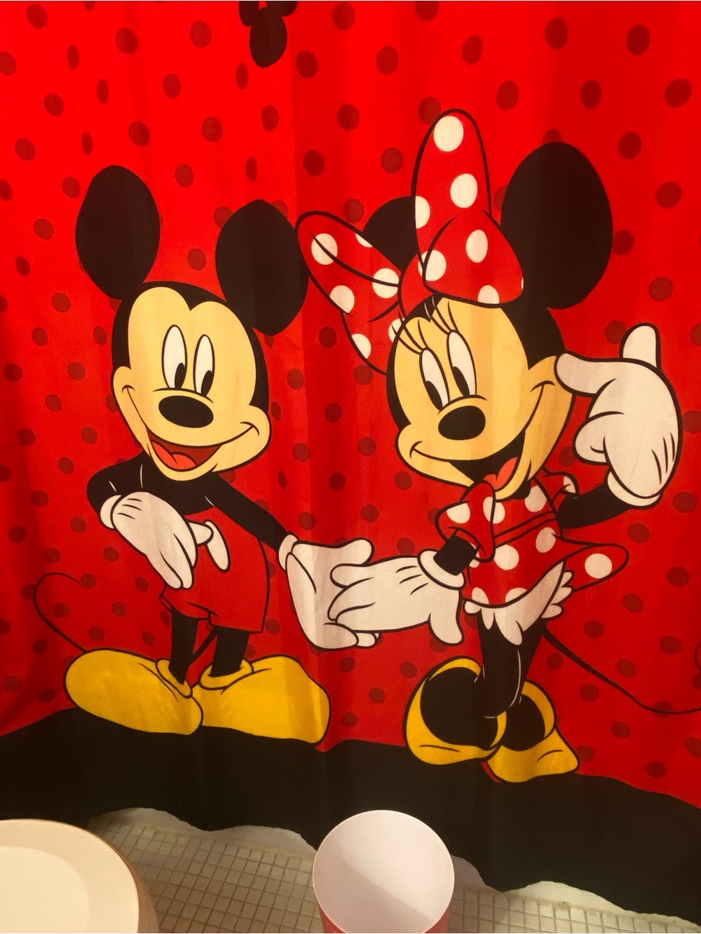 Beautiful Minnie Mouse bathroom set